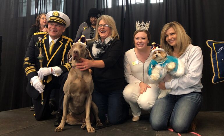 Urgent: Nominate Your Dog for St. Paul Winter Carnival Royalty!