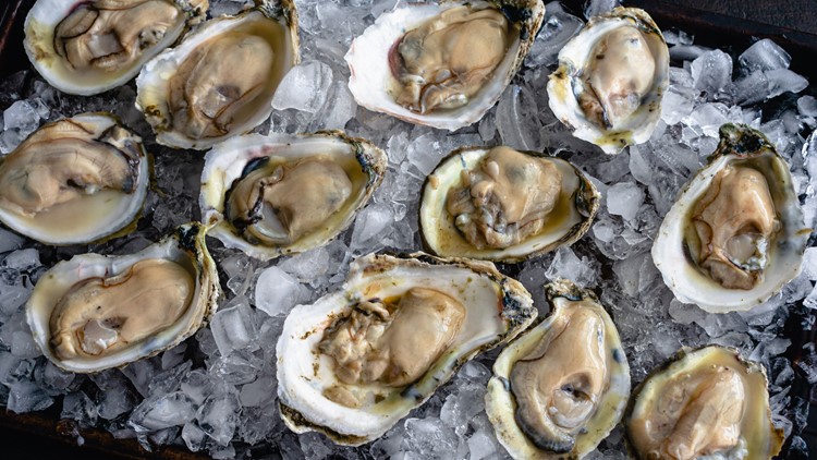 Urgent Salmonella Outbreak Linked to Raw Oysters Sickens 64