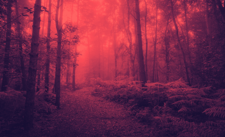 Biophobia Surges: Nature Fear Rising Among Global Populations