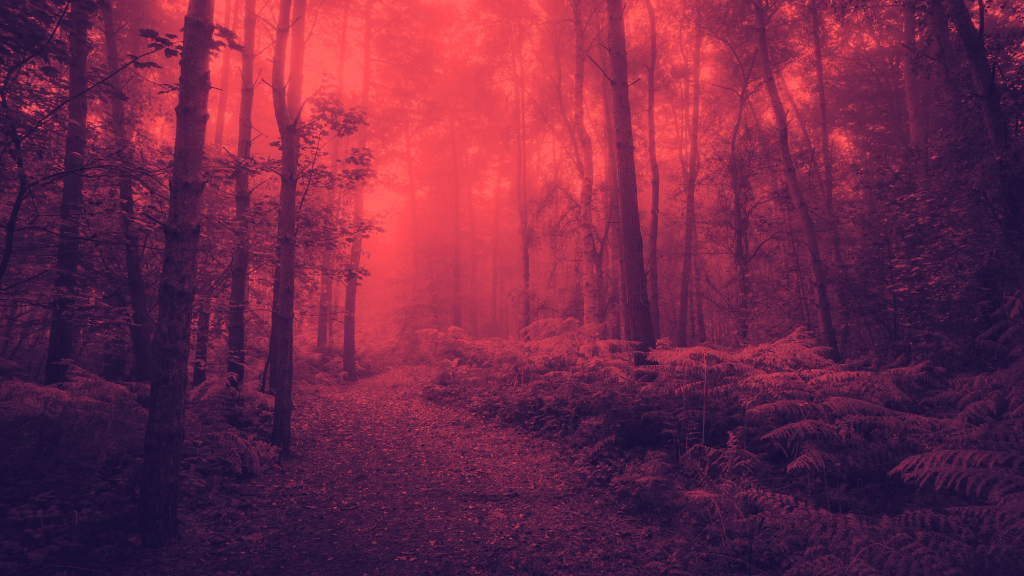 Biophobia Surges: Nature Fear Rising Among Global Populations