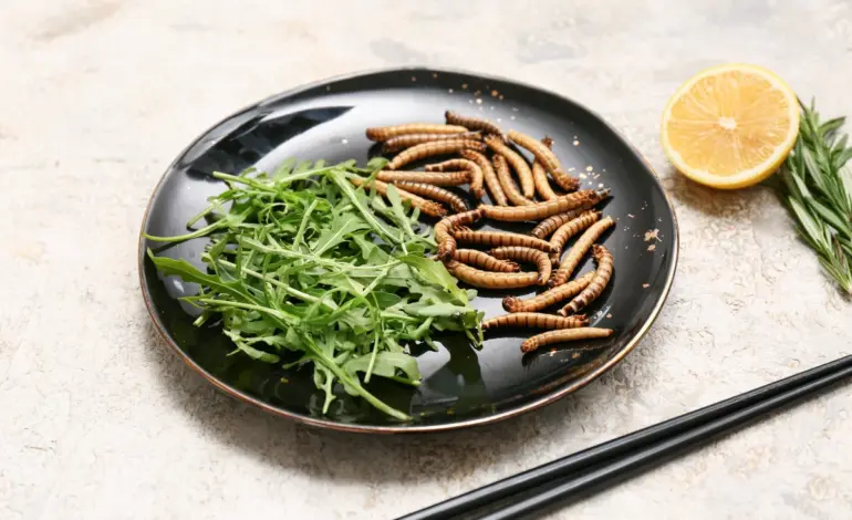 Neanderthals Ate Maggots: New Study Reveals Surprising Diet