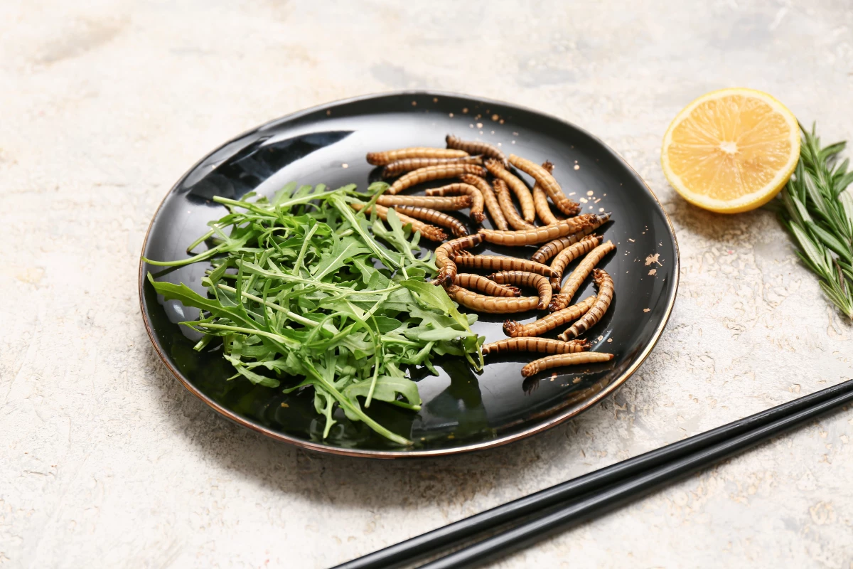 Neanderthals Ate Maggots: New Study Reveals Surprising Diet