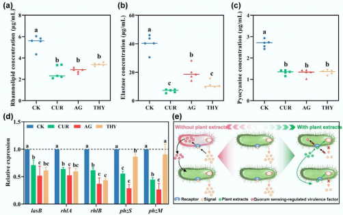 Plant Extracts Disrupt Pathogen Communication to Safeguard Soils