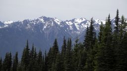 Woman Killed in Rare Mountain Lion Attack in Colorado Trail